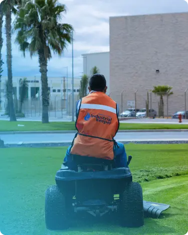 servicio de jardineria y limpieza de terrenos